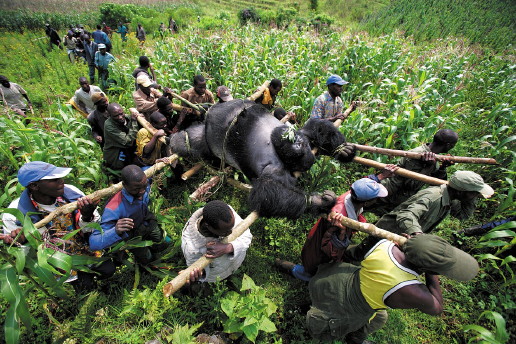 World Press Photo 2007 al CCCB