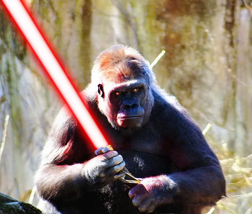 Animals amb espases laser